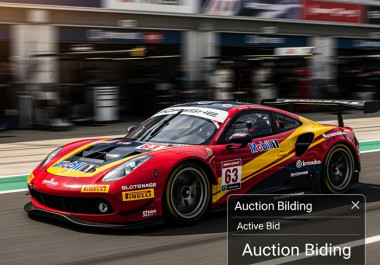 How Motorsport Enthusiasts Buy Track Cars at Auction