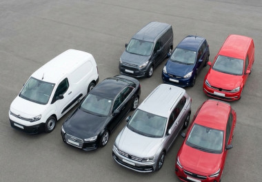 Best Colour Combinations for Quick Auction Sales