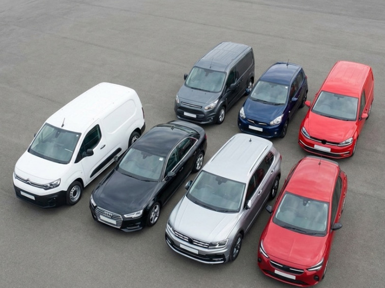 Best Colour Combinations for Quick Auction Sales