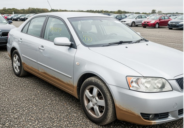 Storm Damaged Vehicles at Auction: Worth Buying or Too Risky?