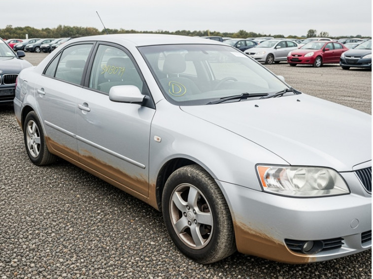 Storm Damaged Vehicles at Auction: Worth Buying or Too Risky?