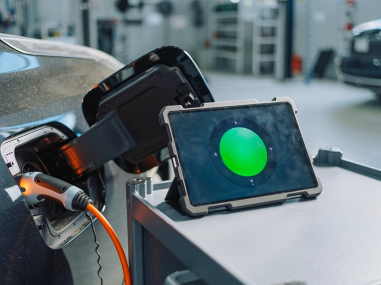 Battery Health Assessment in Salvage Electric Vehicles