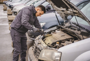 What a Pre-Bid Inspection Actually Offers