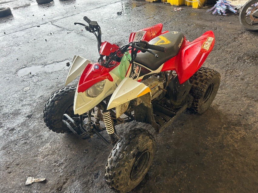 Used QUAD BIKE for sale at online auction RAW2K