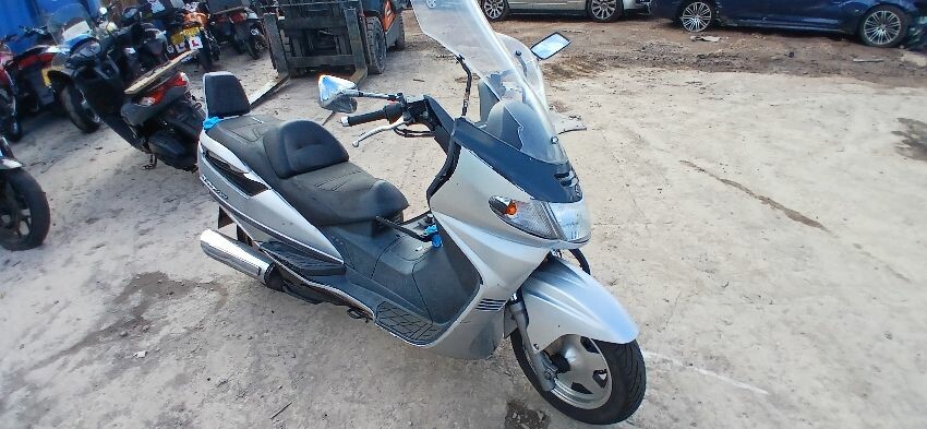  LIGHT BURGEMAN 300
