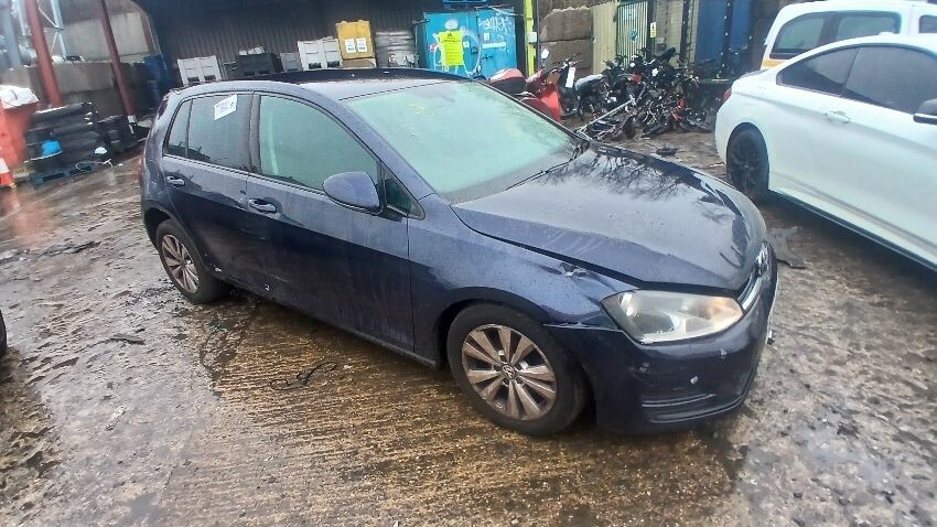 2013 VOLKSWAGEN GOLF