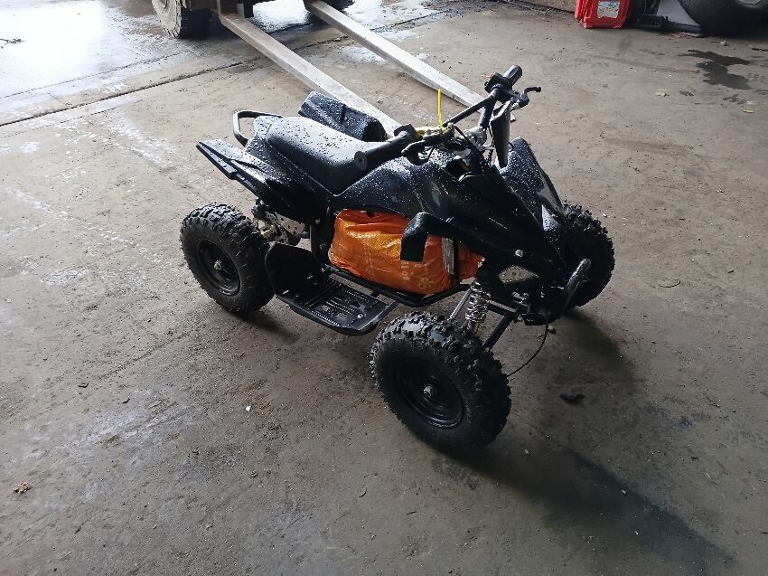  QUAD BIKE ONE MOTO ATV 1000WT