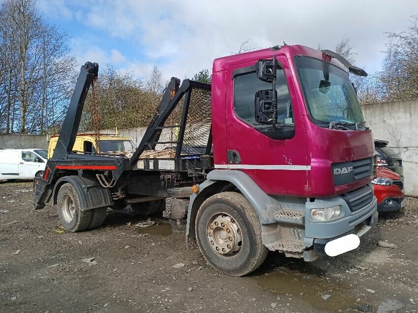 2010 DAF LF