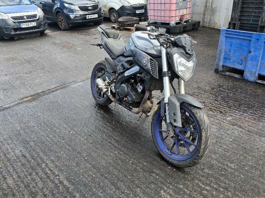 2015 YAMAHA MT
