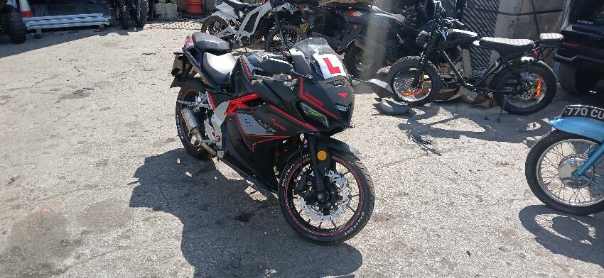 2020 LEXMOTO LXR