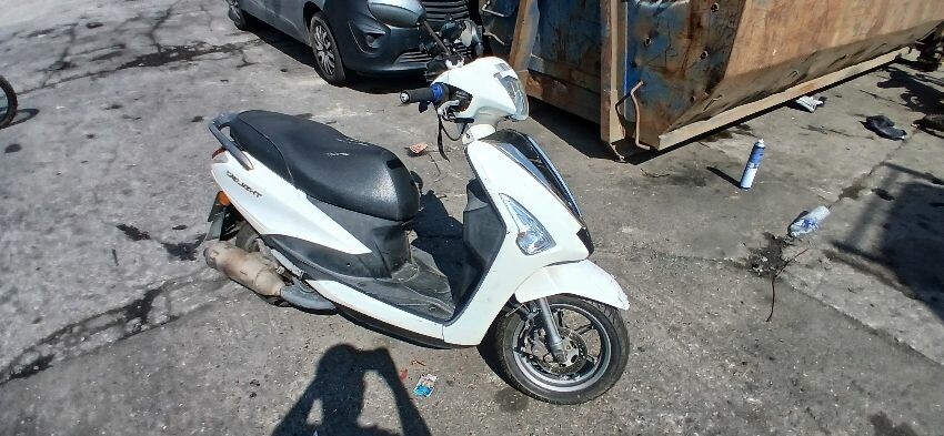 2017 YAMAHA DELIGHT